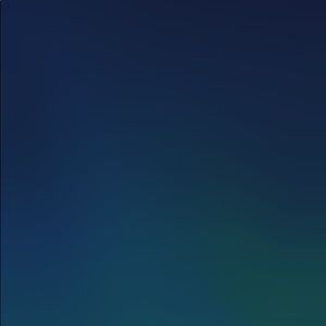 Meet your Posher, Aleane